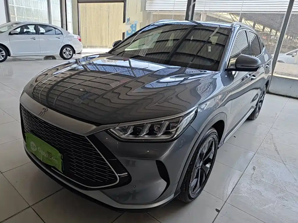 BYD PLUS New Energy 2022 — фото 1