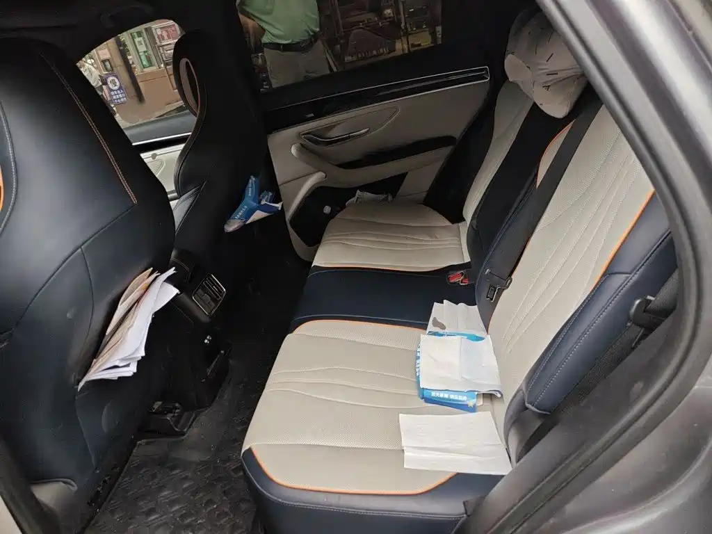 BYD Song PLUS New Energy 2022 — фото 15