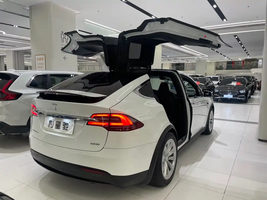Tesla Model X 2019