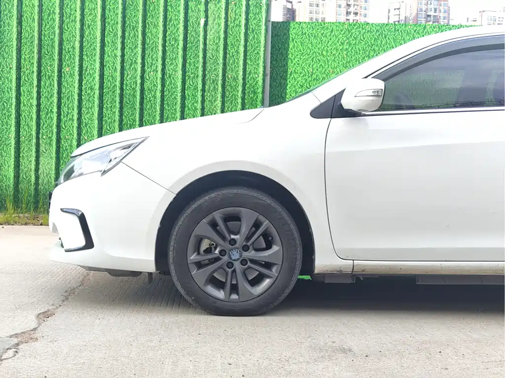 BYD Qin NEV 2018 — фото 12