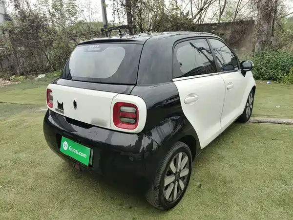 Ora Black Cat 2021