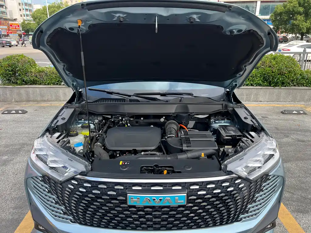 Haval H6 New Energy 2023 — фото 24
