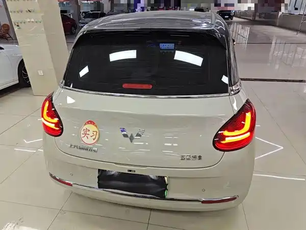 Wuling Bingo 2024