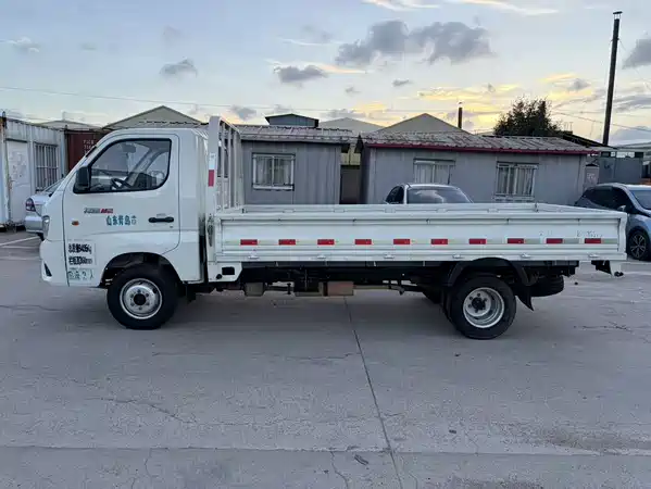 Futian Xiangling M 2021