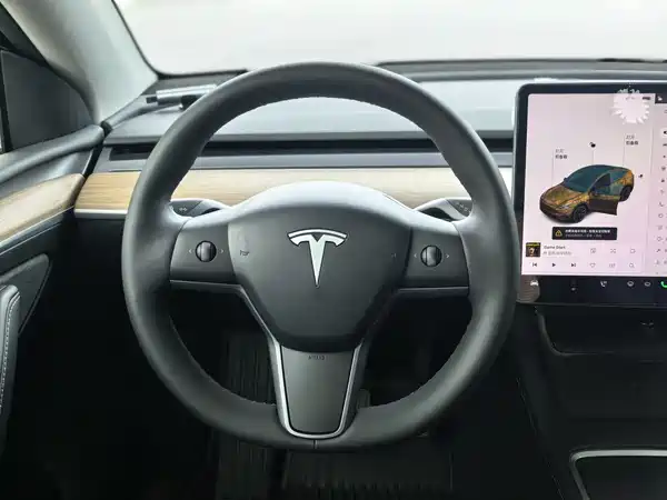 Tesla Model Y 2021