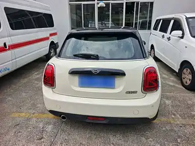 MINI MINI 2020