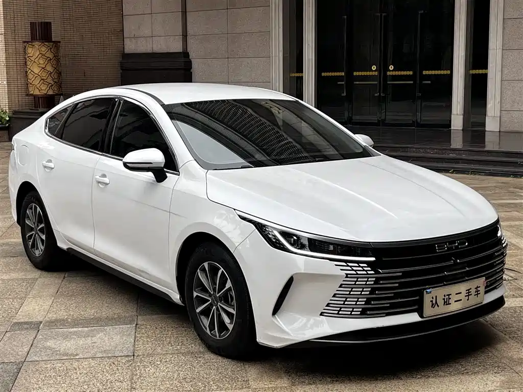 BYD Destroyer 05 2024 — фото 19