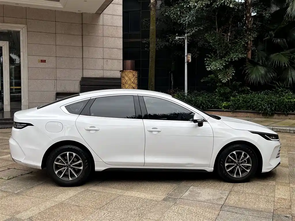 BYD Destroyer 05 2024 — фото 10