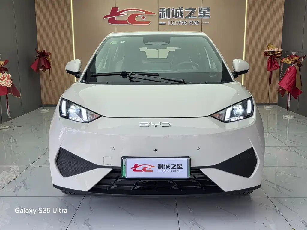 BYD Seagull 2025