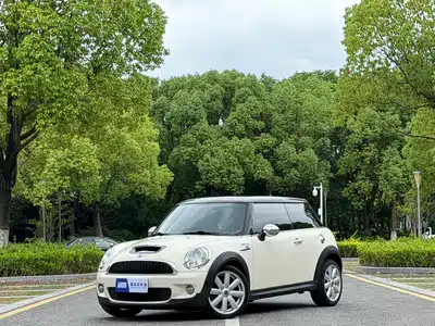 MINI MINI 2010