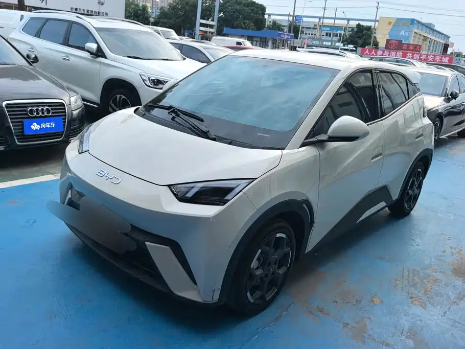 BYD Seagull 2024