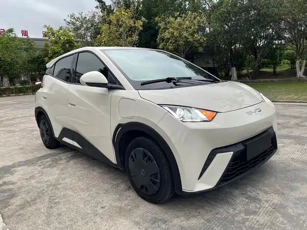 BYD Seagull 2024