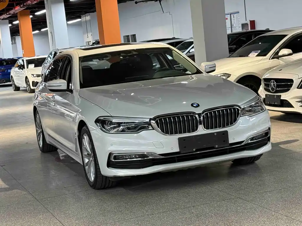 BMW 5 Series New Energy 2019