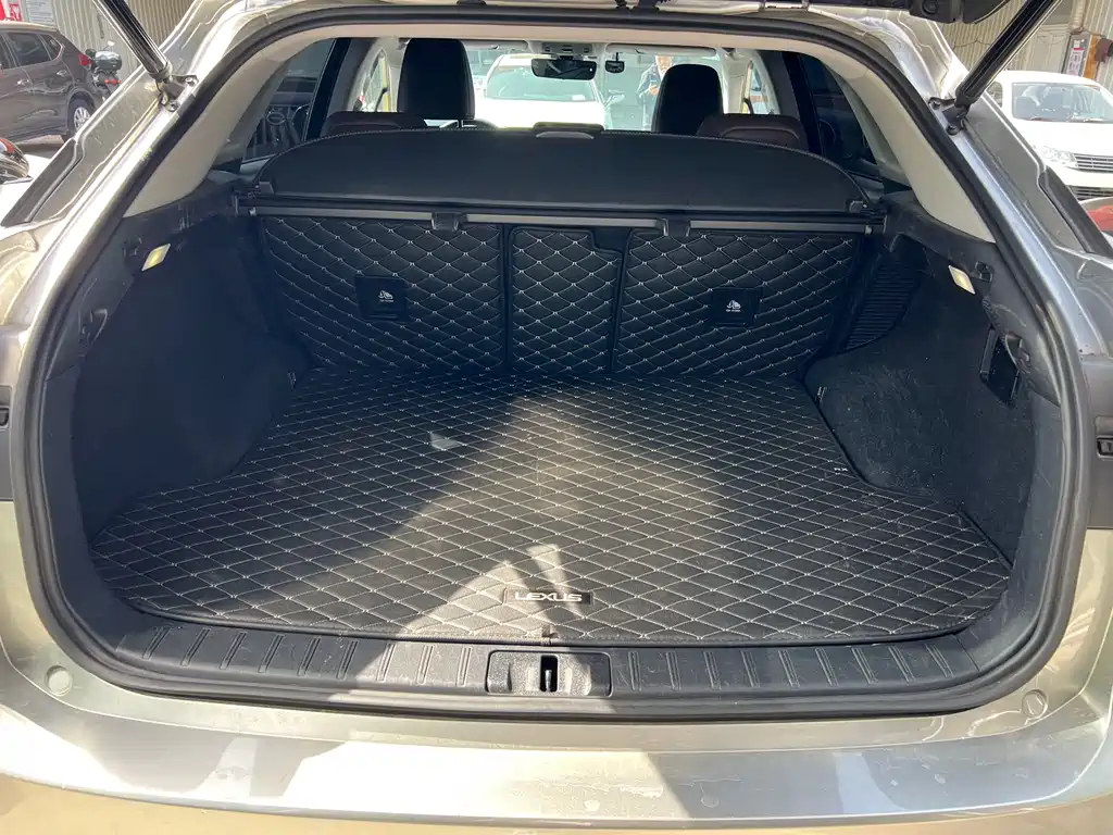Lexus RX 2020 — фото 13