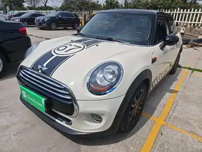 MINI MINI 2017