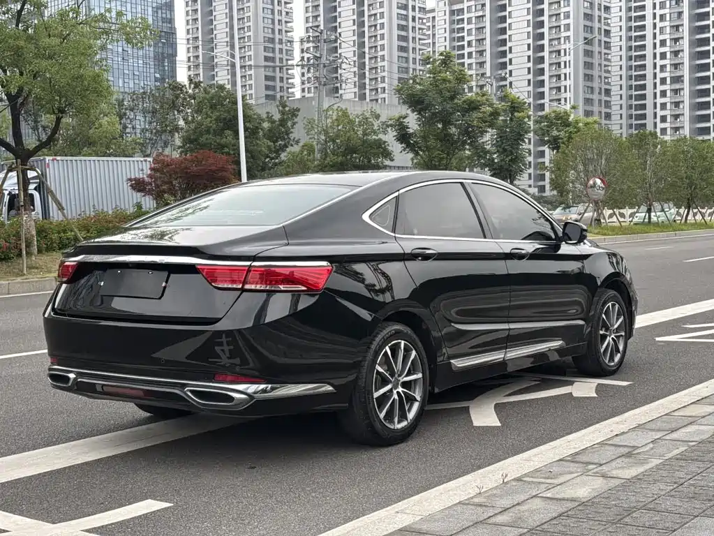 Geely Borui 2022 — фото 15