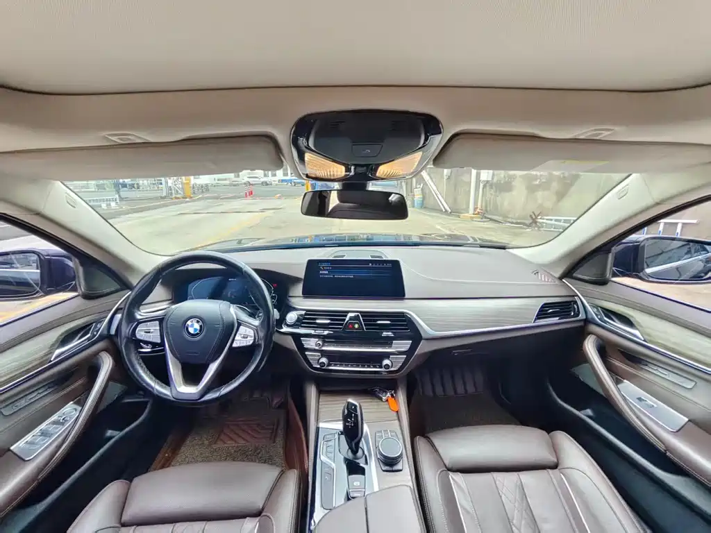 BMW 5 Series New Energy 2019