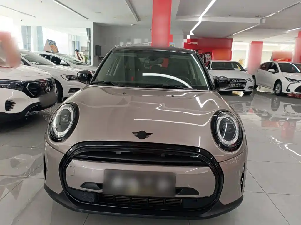 MINI MINI 2022