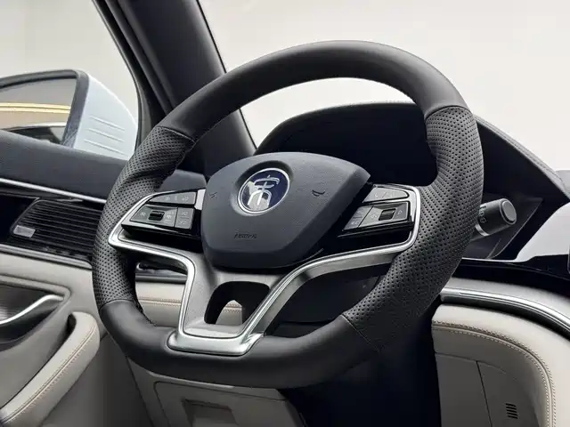 BYD PLUS New Energy 2022 — фото 16