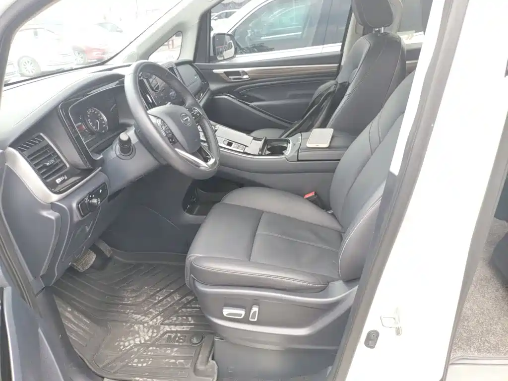 GAC Trumpchi M8 2024 — фото 15