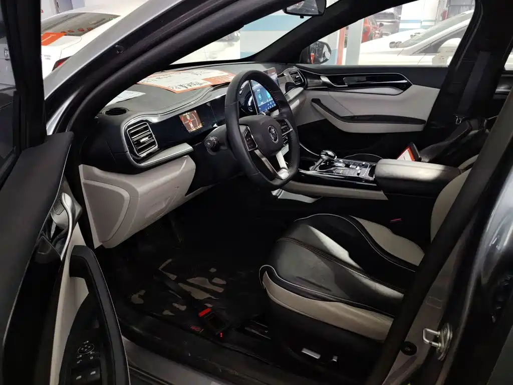 BYD Qin PLUS 2022 — фото 15