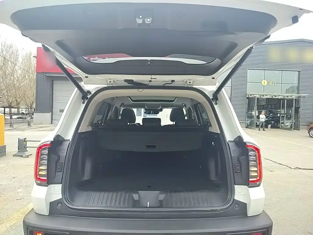 Haval Big Dog 2021 — фото 19