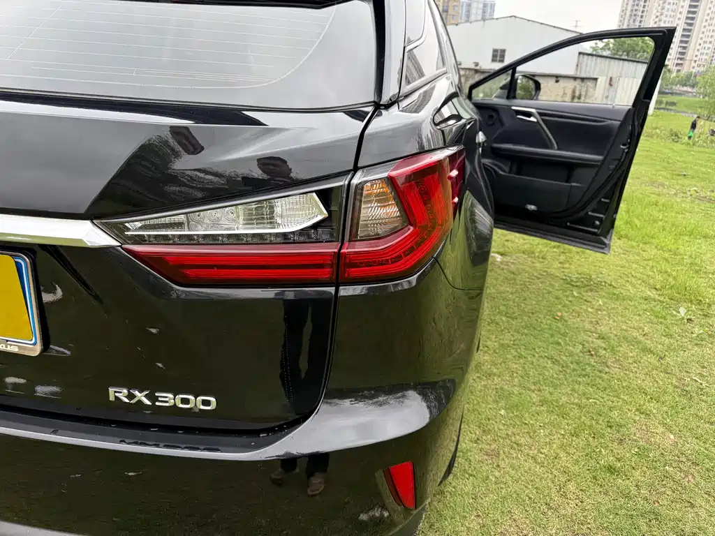 Lexus RX 2019 — фото 16