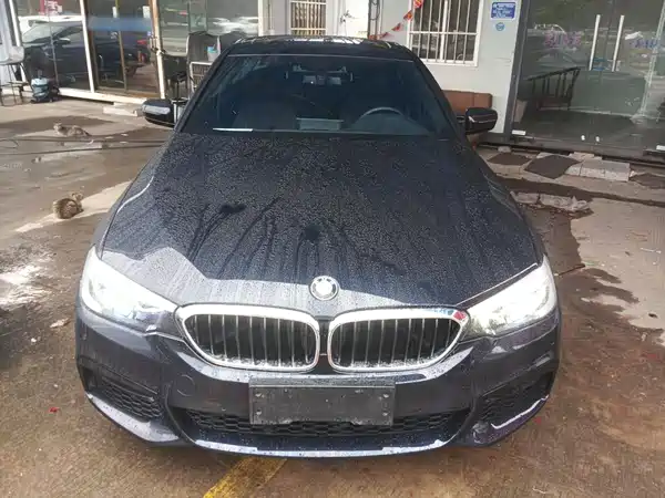 BMW 5 Series 2019