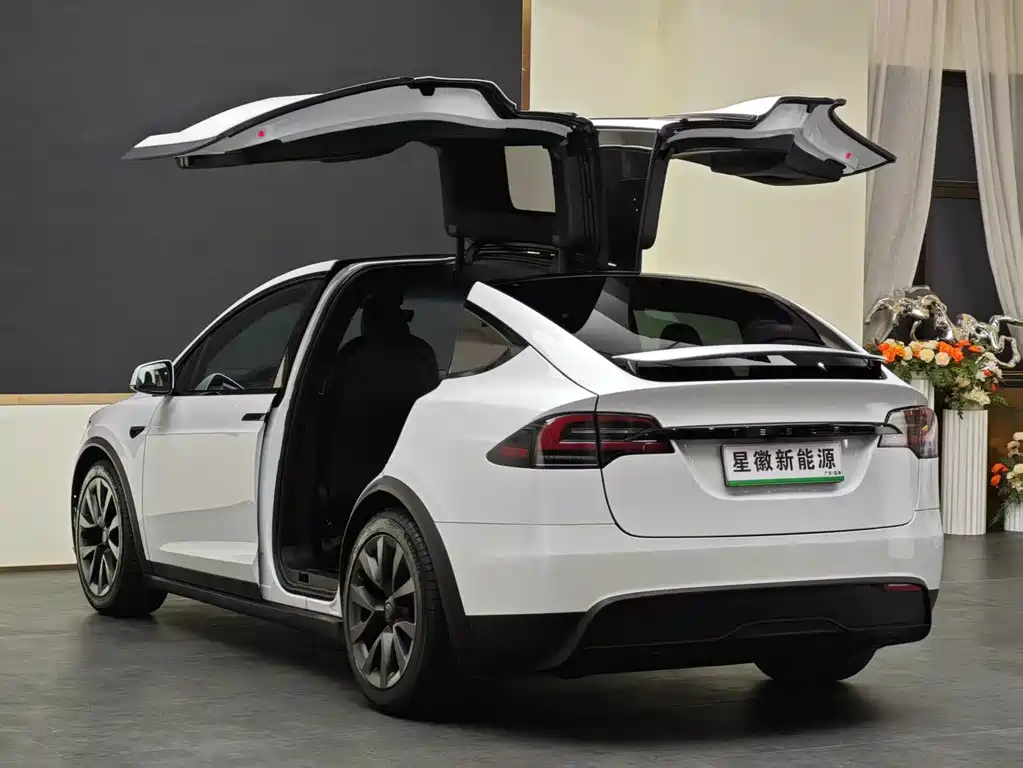 Tesla Model X 2024 — фото 16