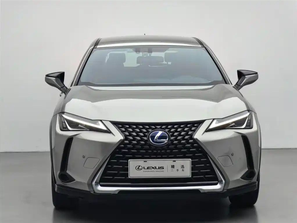 Lexus UX 2020 — фото 2
