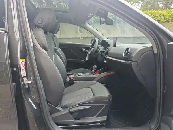 Audi Q2L E-Tron 2020