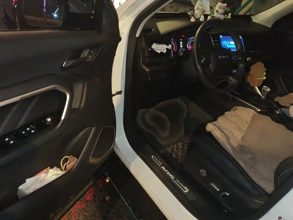 Haval H6 2019 — фото 14