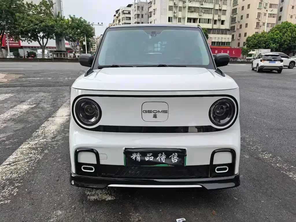 Geely Galaxy Panda 2025