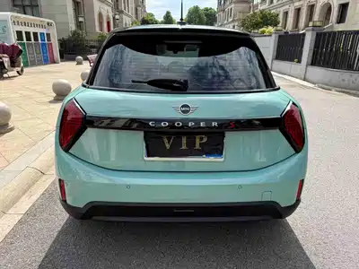 MINI MINI 2025