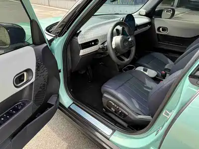 MINI MINI 2025