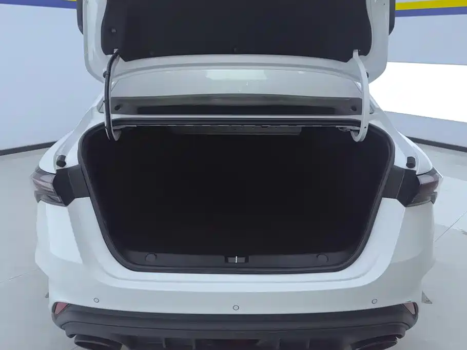 Geely Binrui 2022