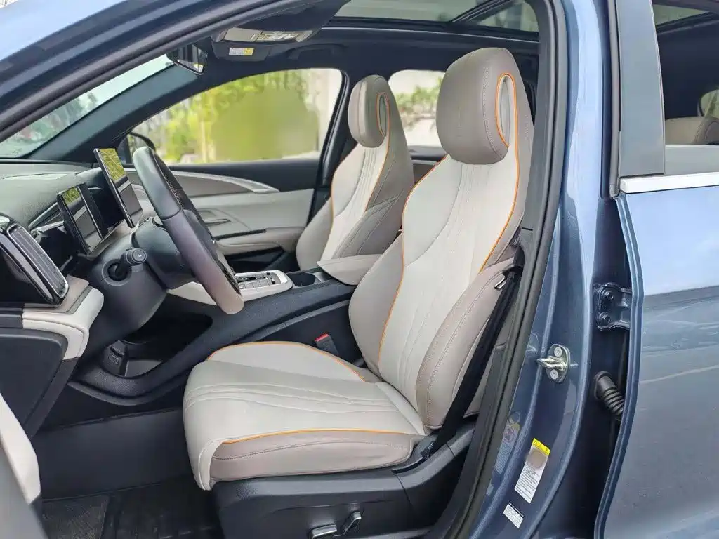 BYD Song Pro New Energy 2024 — фото 20