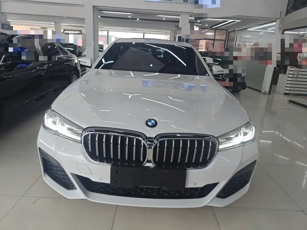BMW 5 Series New Energy 2021
