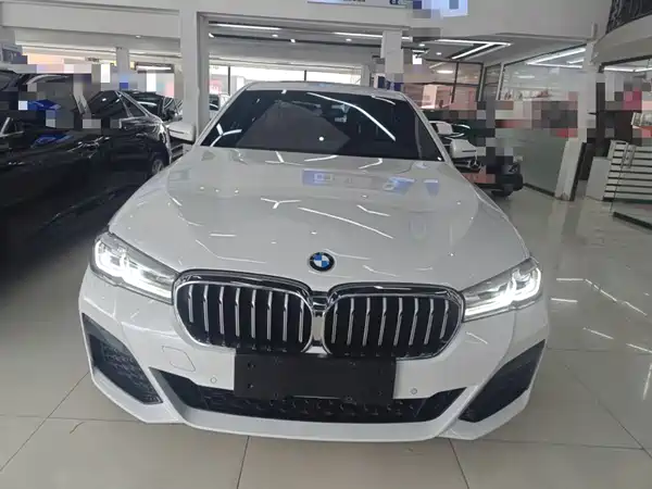 BMW 5 Series New Energy 2021