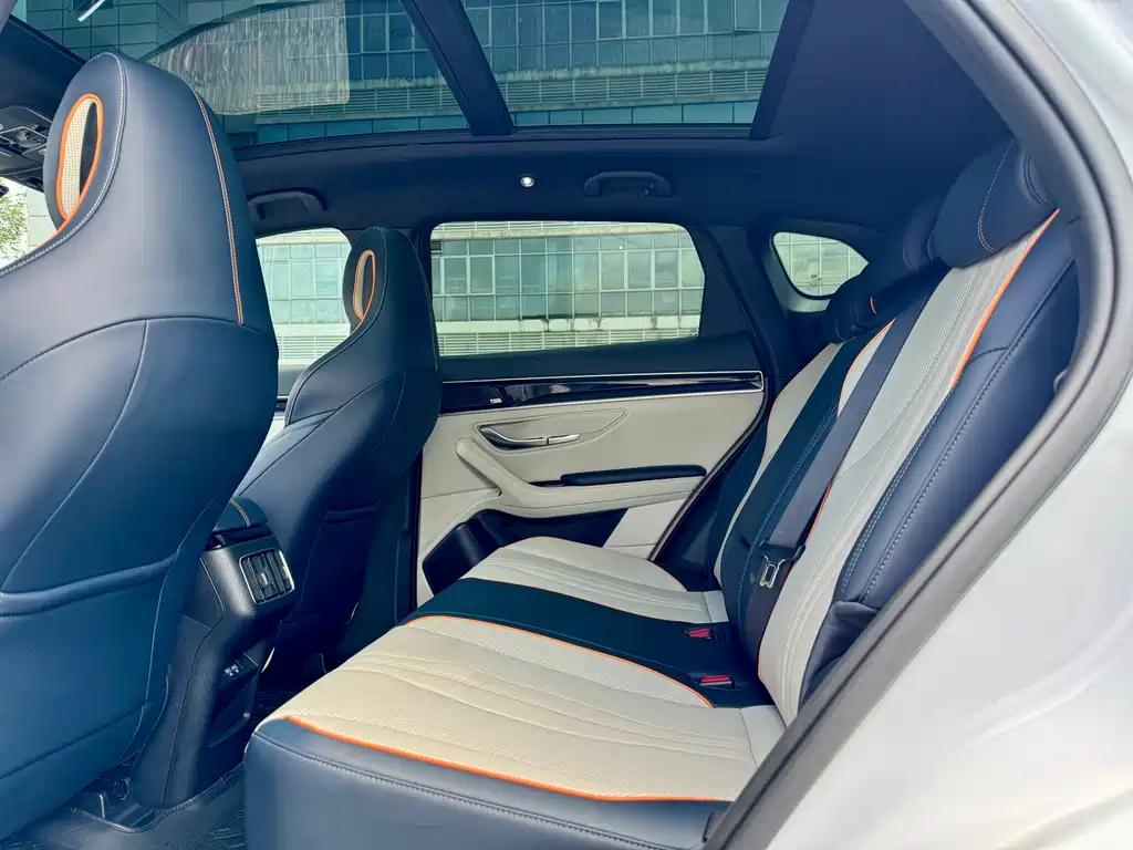 BYD PLUS New Energy 2022 — фото 15