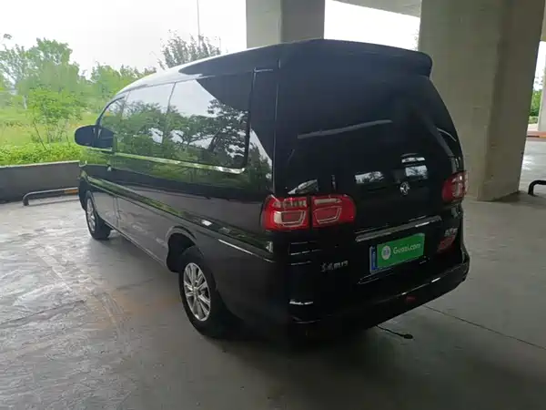 Dongfeng Lingzhi 2020
