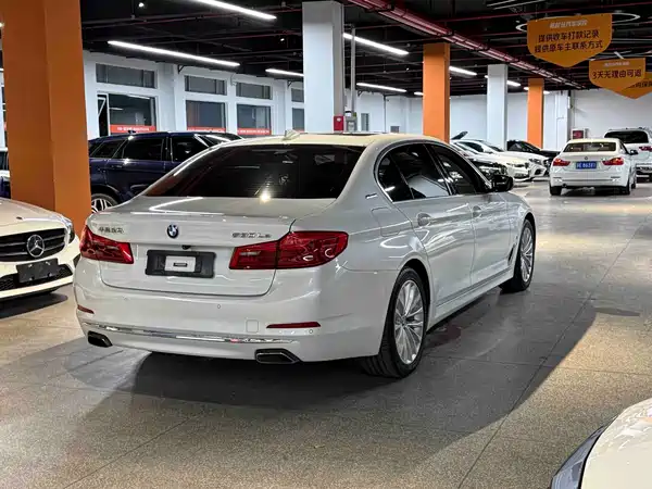 BMW 5 Series New Energy 2019