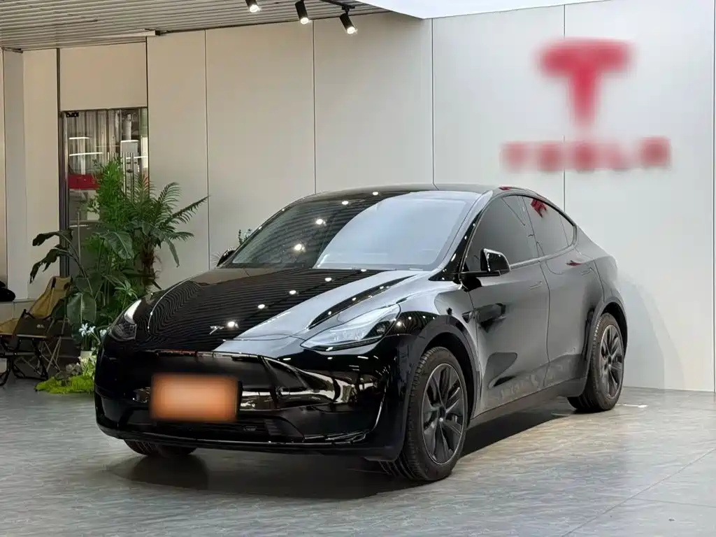 Tesla Model Y 2023 — фото 2