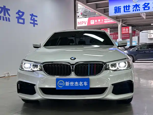 BMW 5 Series 2019