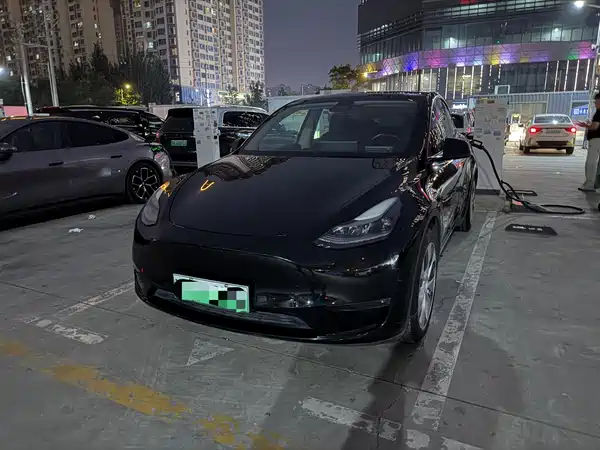 Tesla Model Y 2021