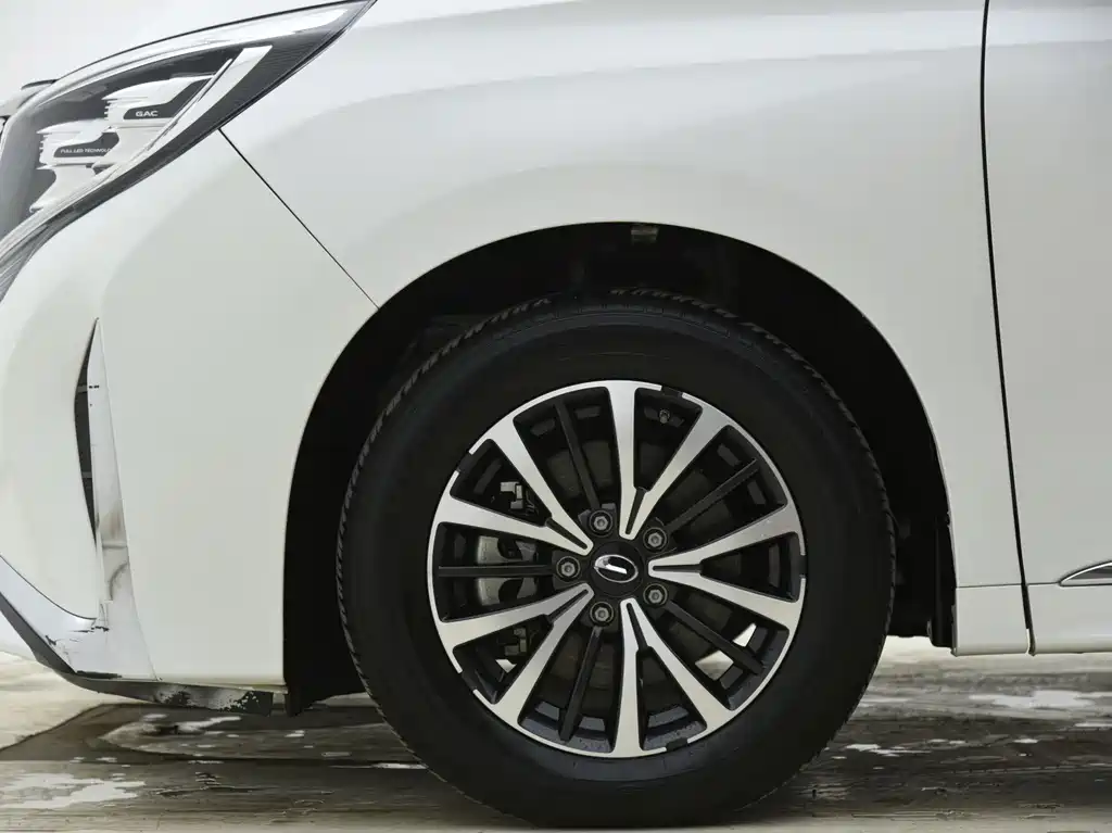 GAC Motor Trumpchi M8 2024 — фото 13