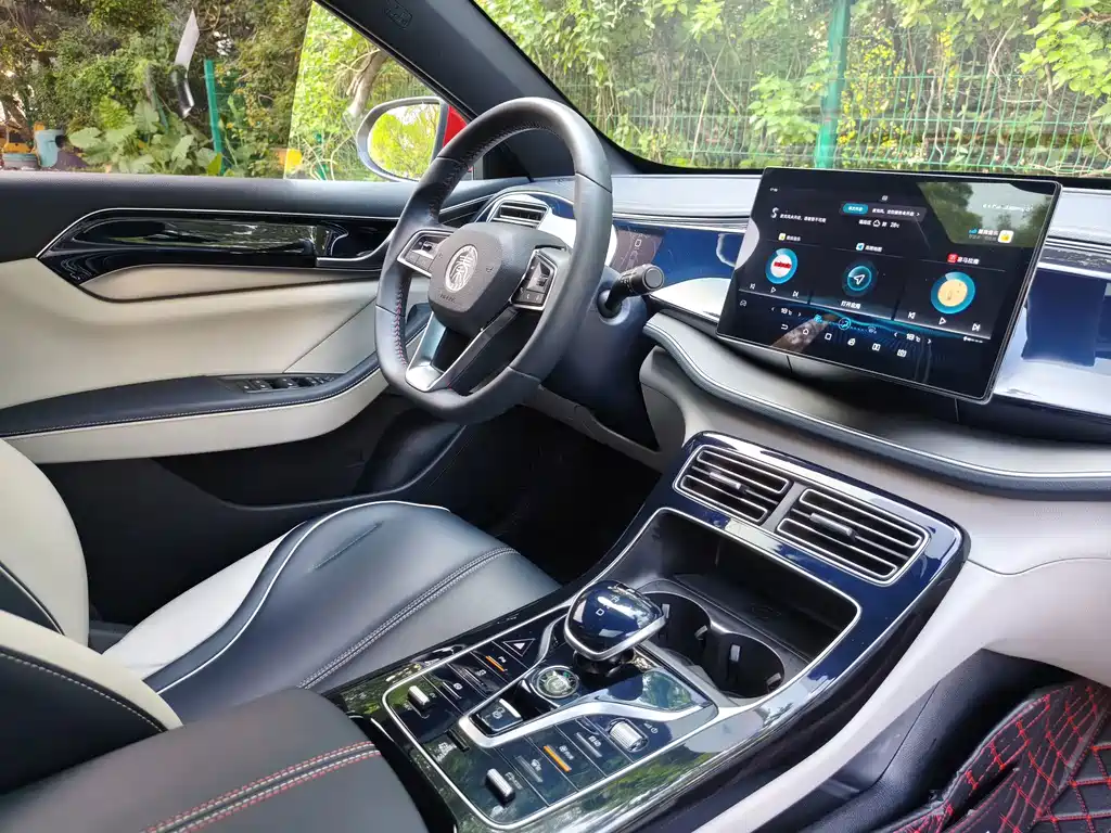 BYD Qin PLUS 2021 — фото 13