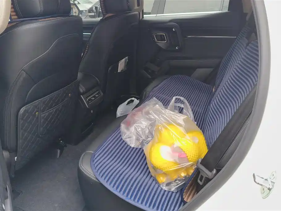 Haval Dargo PLUS EV 2023 — фото 11