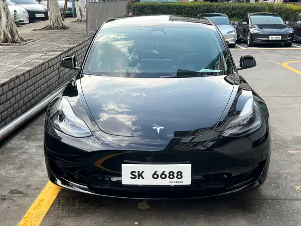 Tesla Model 3 2023