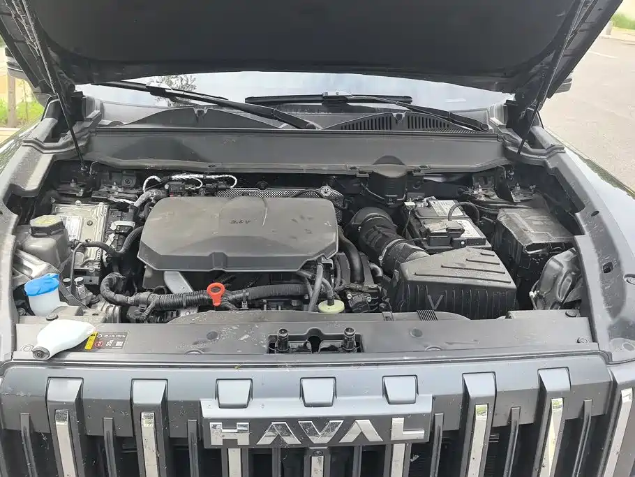 Haval Raptors Fuel 2025 — фото 10